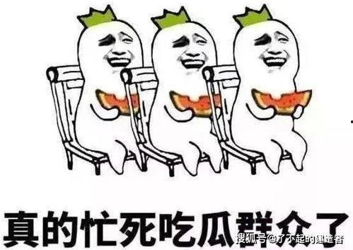 娱乐吃瓜酱专属梗图片,图解娱乐圈那些事儿